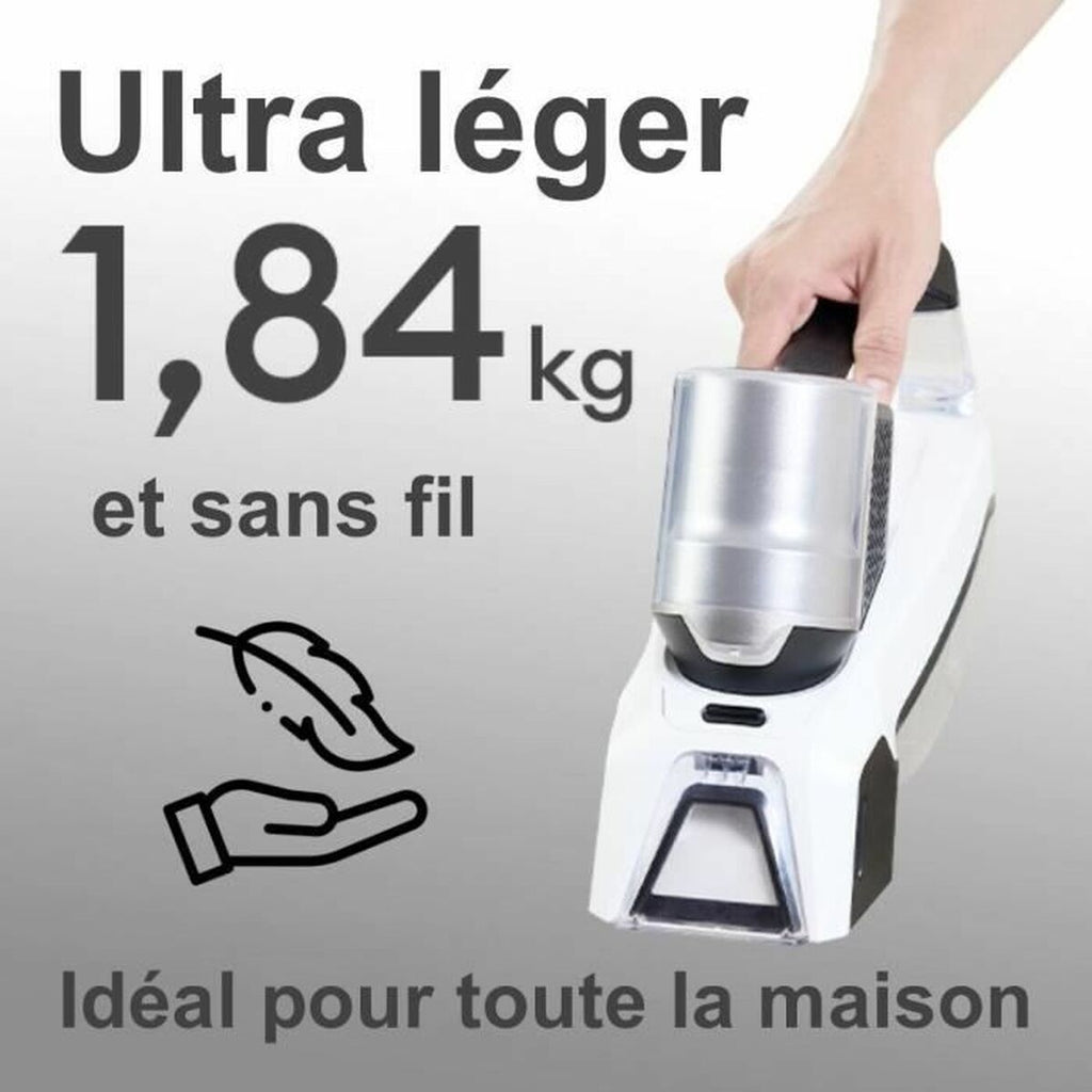 Aspirateur Manuel EZIclean SPOT REMOVER W100 60 W - 8