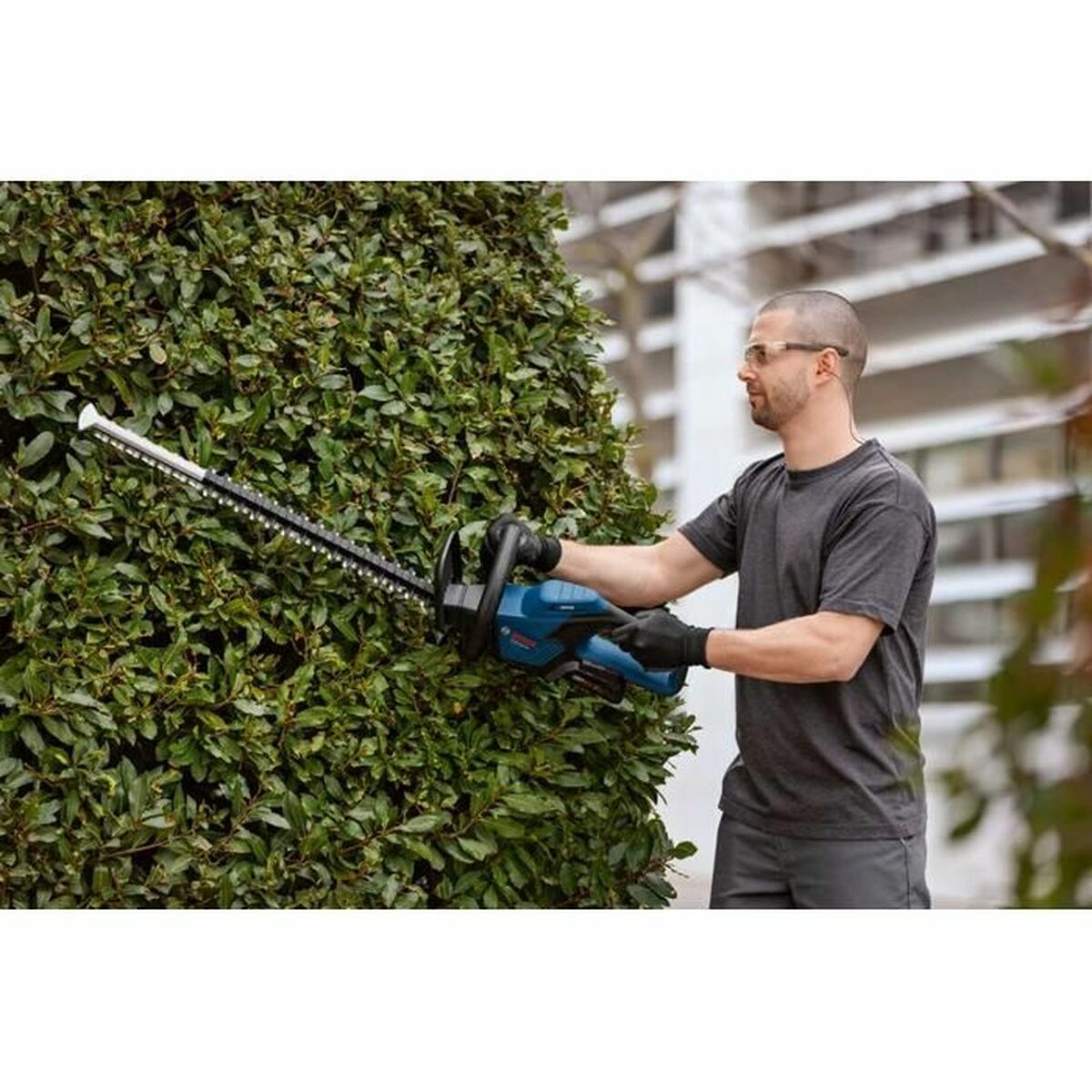 Taille-haie BOSCH 06008C9500 18 V - 6