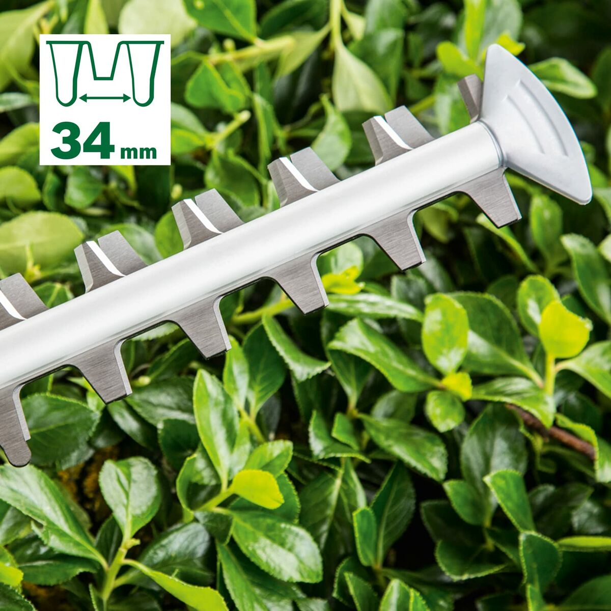 Taille-haie BOSCH   500 W 65 cm - 6