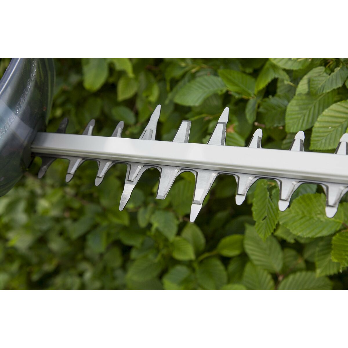 Taille-haie Gardena G9834-20 600 W 55 cm - 8