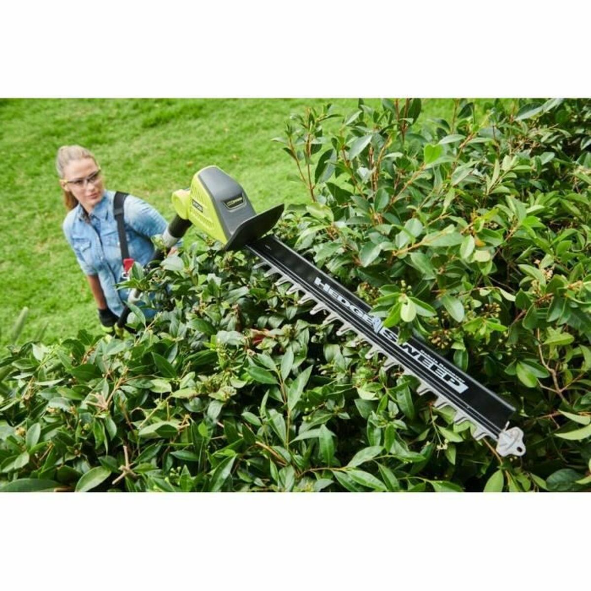 Taille-haie Ryobi RY36PHT50A-0 36 V - 4