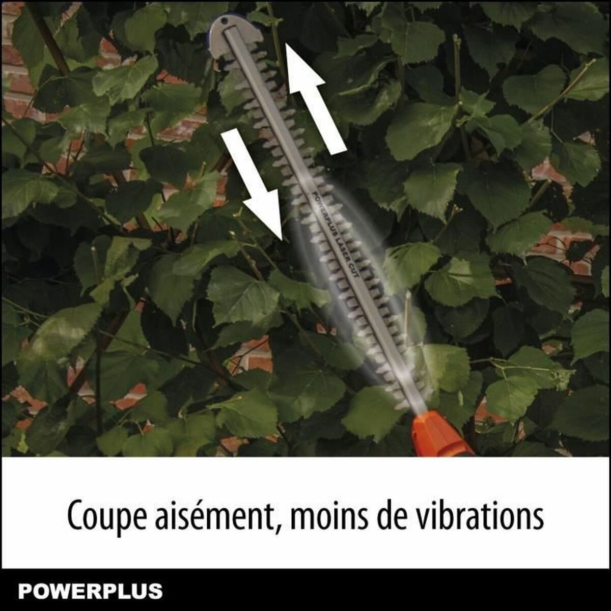 Taille-haie Powerplus DualPower Powdpg75380 40 V - 2