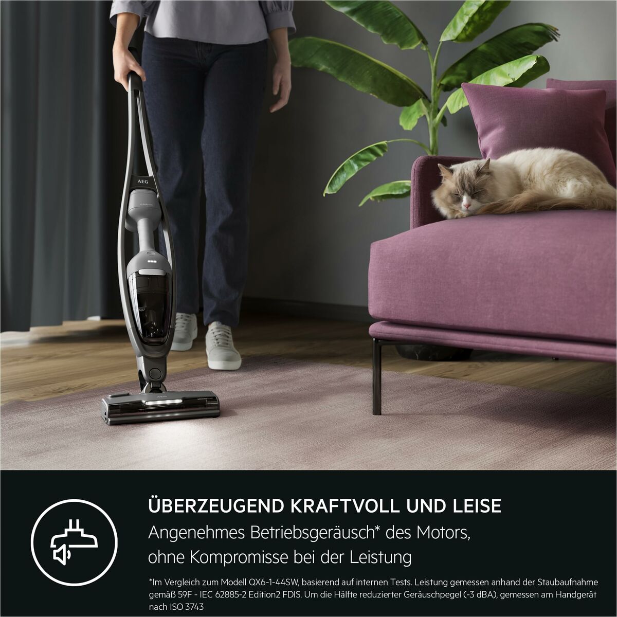 Aspirateur balai AEG AS62CB25UG 600 W - 6
