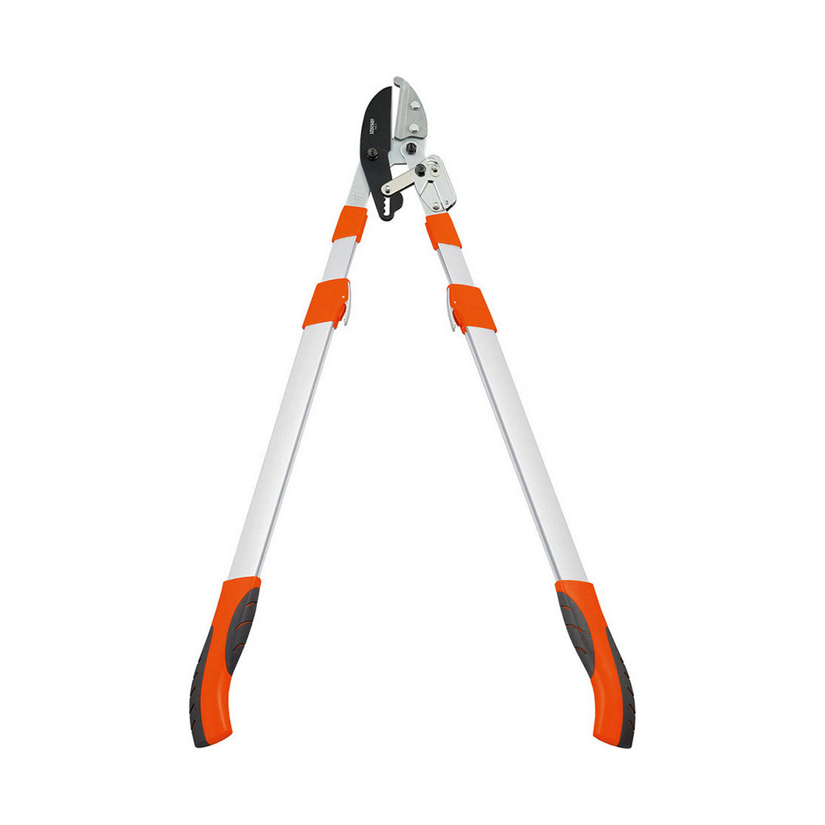 Taille-haie Stocker Manche Télescopique - 2