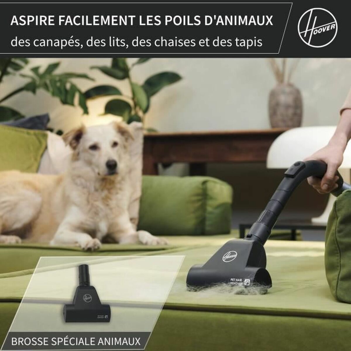 Aspirateur Hoover HE120PET 011 Noir Gris 700 W - 6