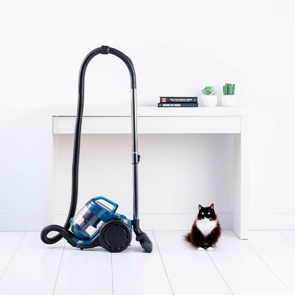 Aspirateur Taurus HOMELAND CYC AN Noir 800 W - 2