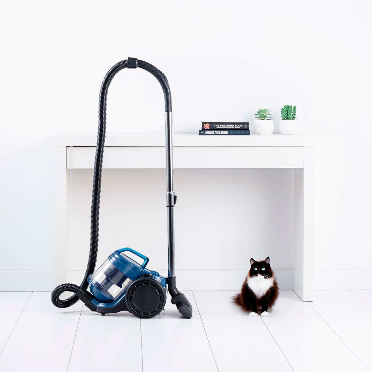 Aspirateur Taurus HOMELAND CYC AN Noir 800 W - 2