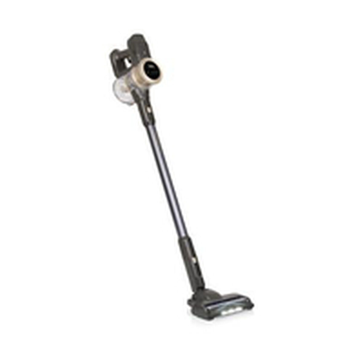 Aspirateur balai Princess 339395 300 W