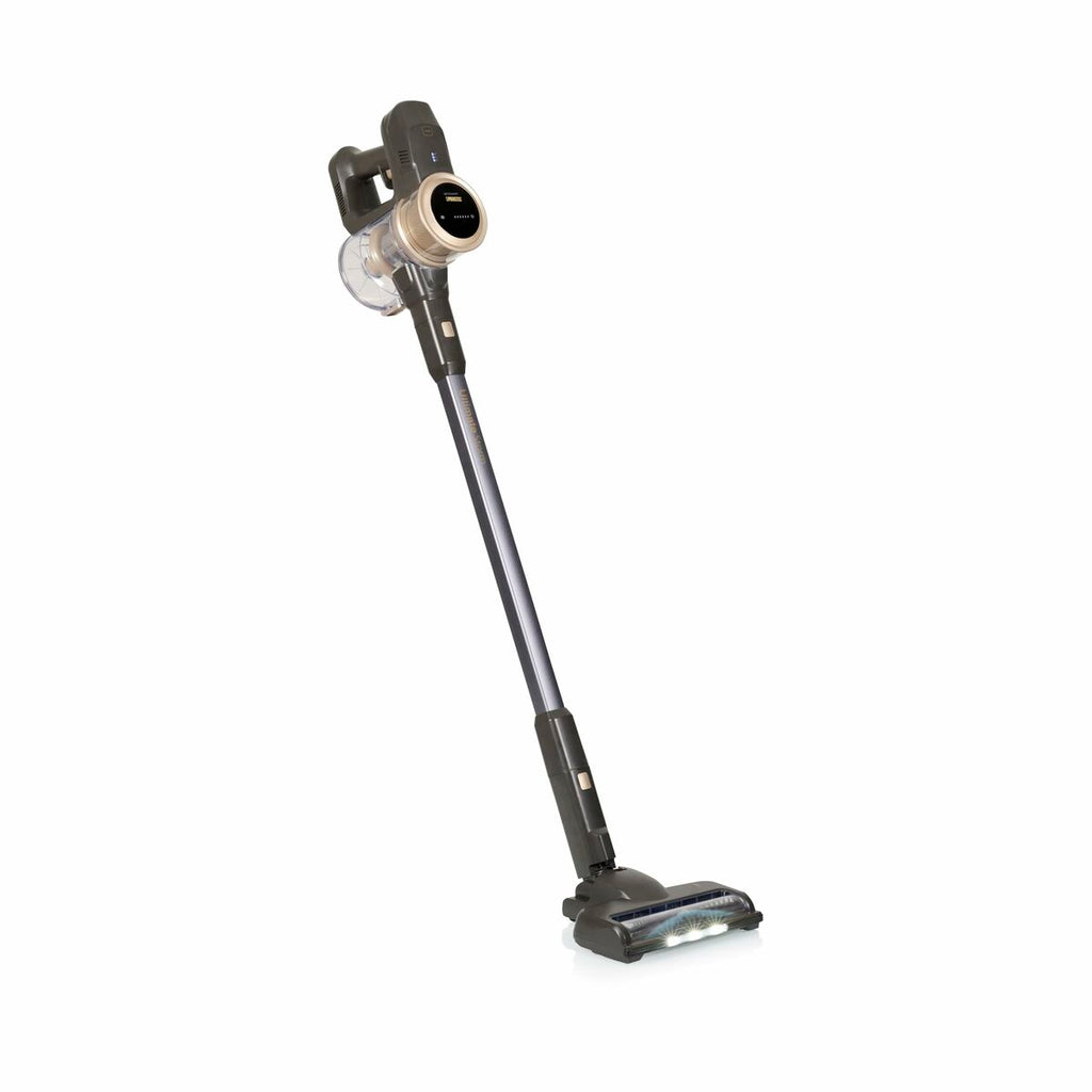 Aspirateur balai Princess 339395 300 W - 4