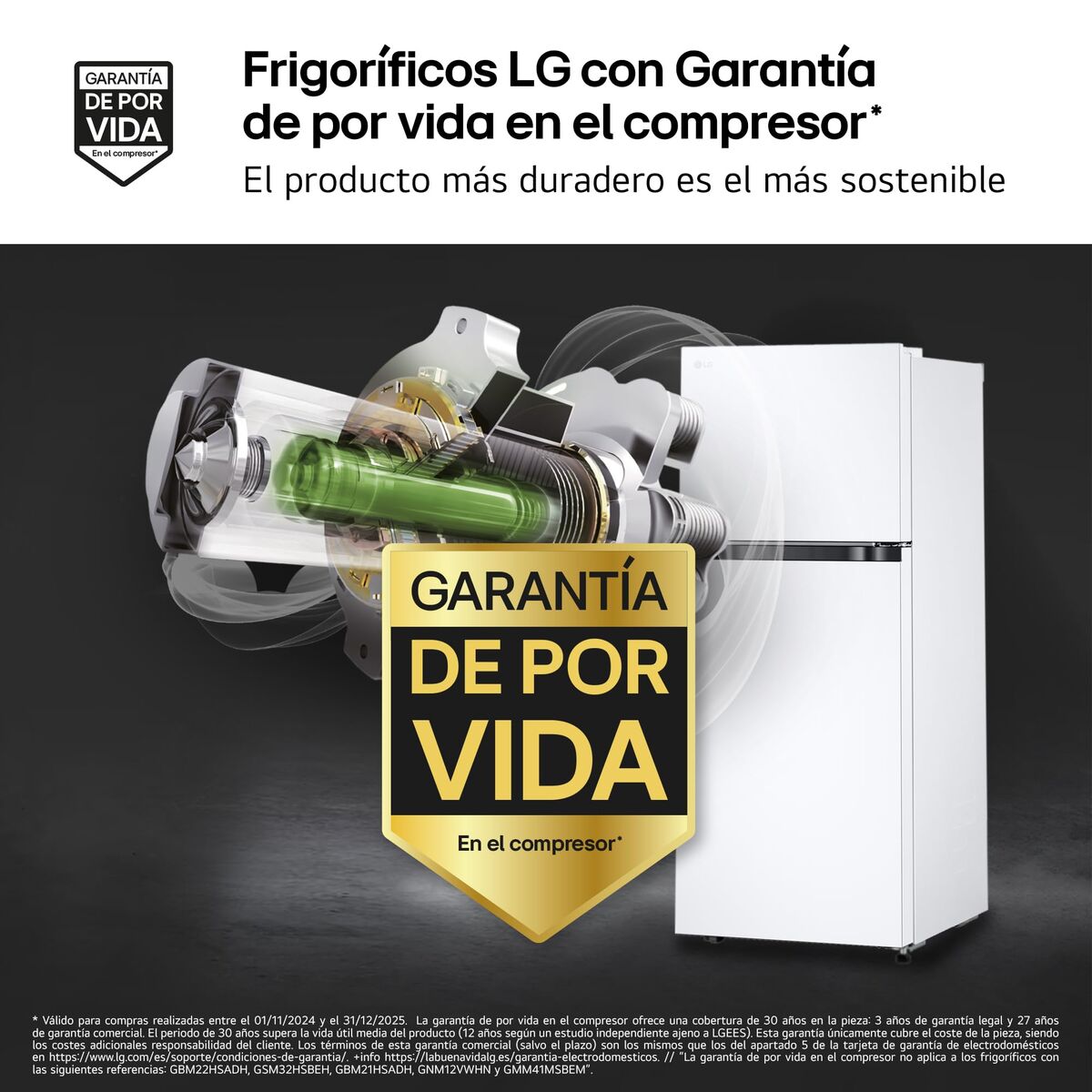 Réfrigérateur Combiné LG GTBV22SWNJ Blanc - 4